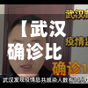【武汉确诊比较高纪录查询,武汉比较高确诊人数】