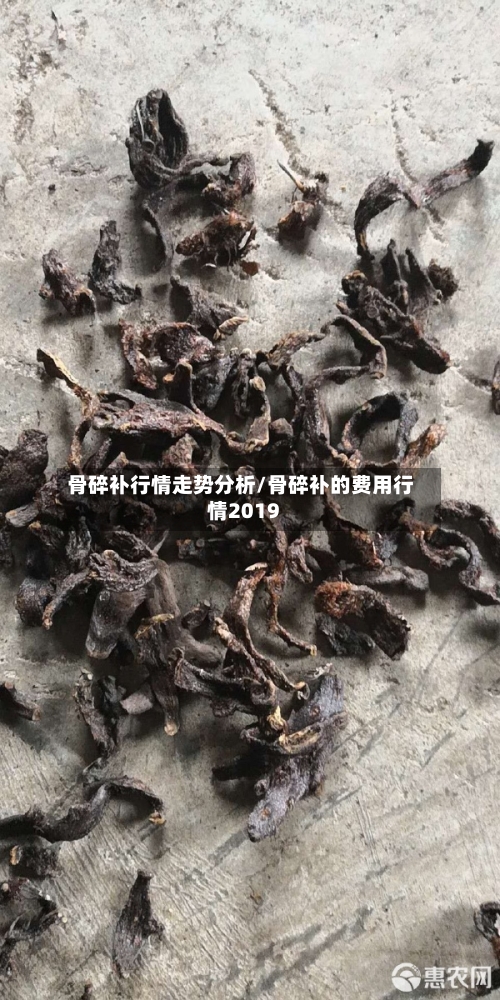 骨碎补行情走势分析/骨碎补的费用行情2019
