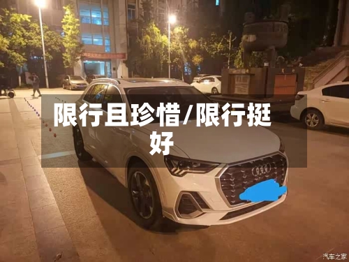 限行且珍惜/限行挺好
