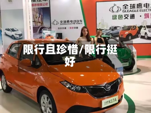 限行且珍惜/限行挺好