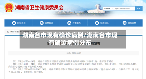 湖南各市现有确诊病例/湖南各市现有确诊病例分布