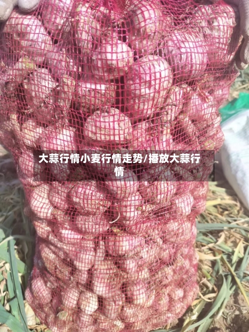 大蒜行情小麦行情走势/播放大蒜行情