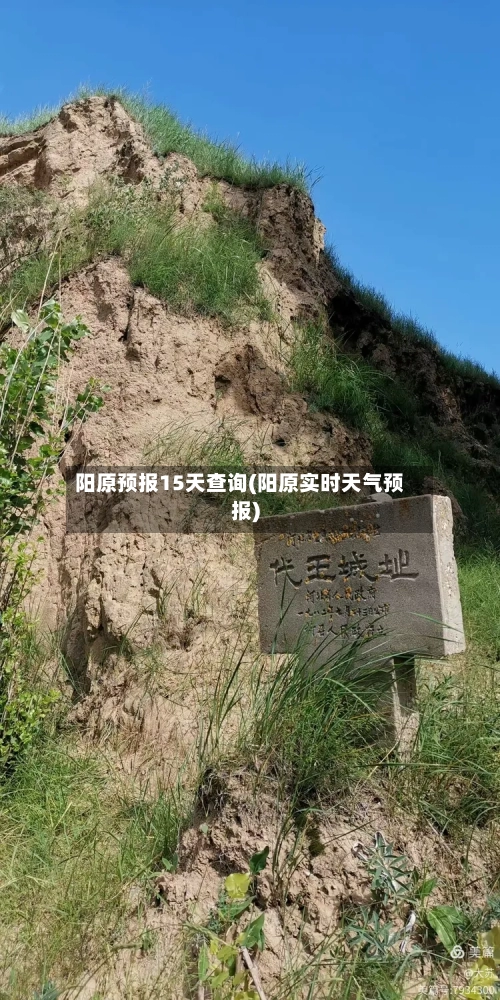 阳原预报15天查询(阳原实时天气预报)