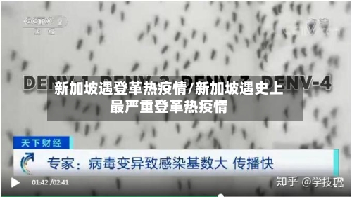 新加坡遇登革热疫情/新加坡遇史上最严重登革热疫情