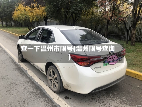 查一下温州市限号(温州限号查询)