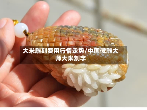 大米雕刻费用行情走势/中国微雕大师大米刻字