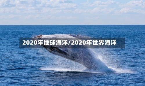 2020年地球海洋/2020年世界海洋