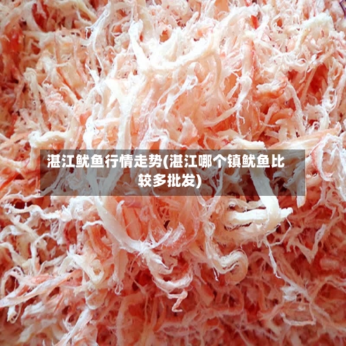湛江鱿鱼行情走势(湛江哪个镇鱿鱼比较多批发)