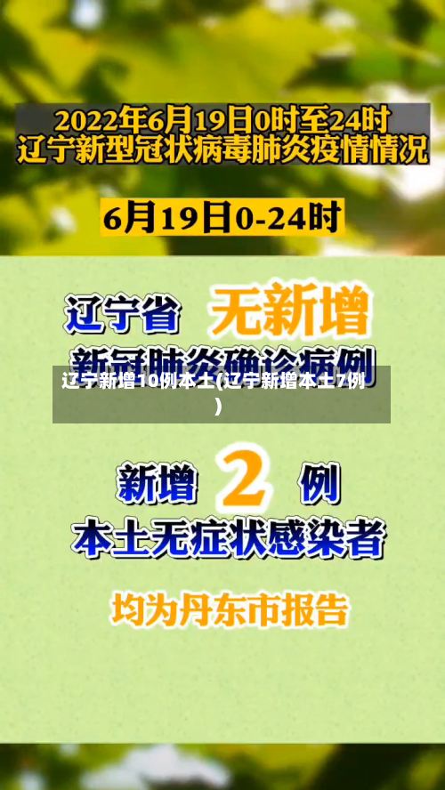 辽宁新增10例本土(辽宁新增本土7例)