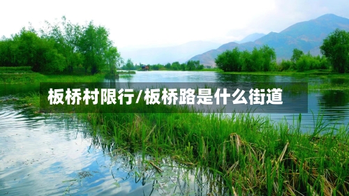 板桥村限行/板桥路是什么街道
