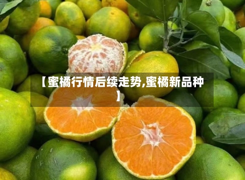 【蜜橘行情后续走势,蜜橘新品种】