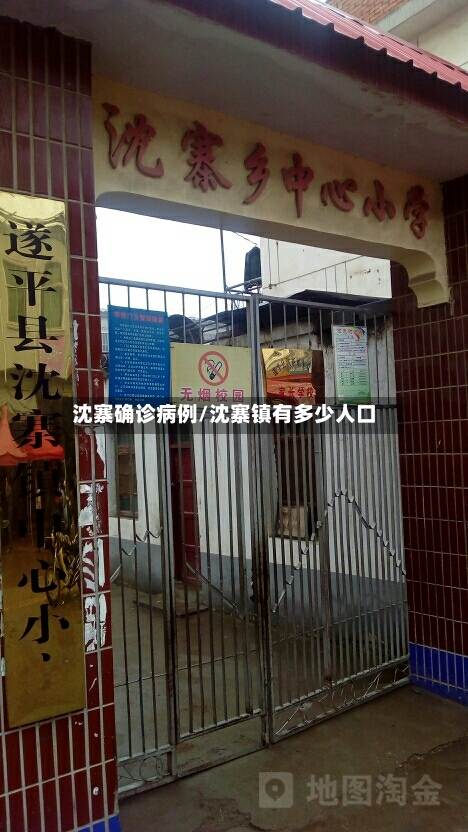 沈寨确诊病例/沈寨镇有多少人口