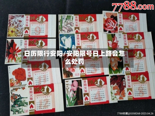 日历限行安阳/安阳限号日上路会怎么处罚