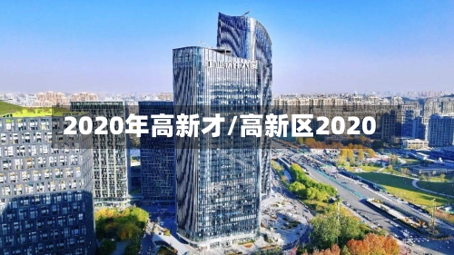 2020年高新才/高新区2020