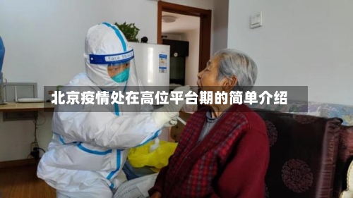 北京疫情处在高位平台期的简单介绍