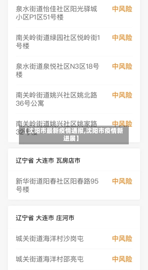 【沈阳市最新疫情通报,沈阳市疫情新进展】
