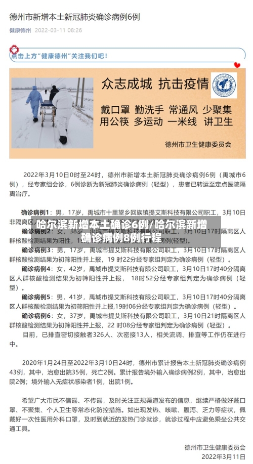哈尔滨新增本土确诊6例/哈尔滨新增确诊病例8例行程