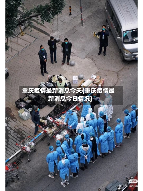 重庆疫情最新消息今天(重庆疫情最新消息今日情况)