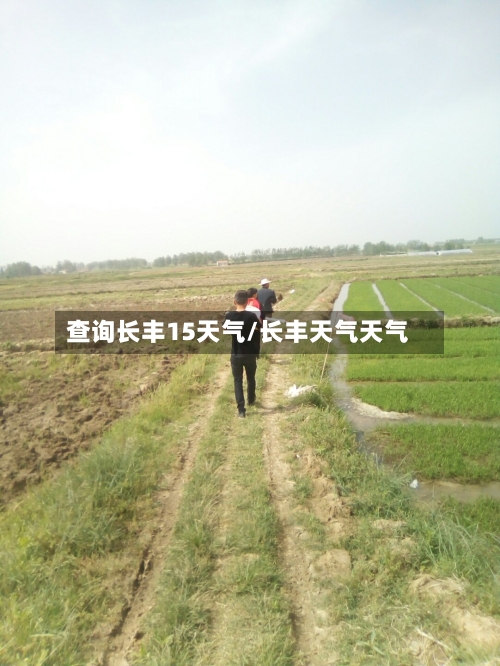 查询长丰15天气/长丰天气天气