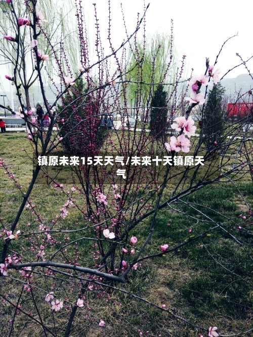 镇原未来15天天气/未来十天镇原天气