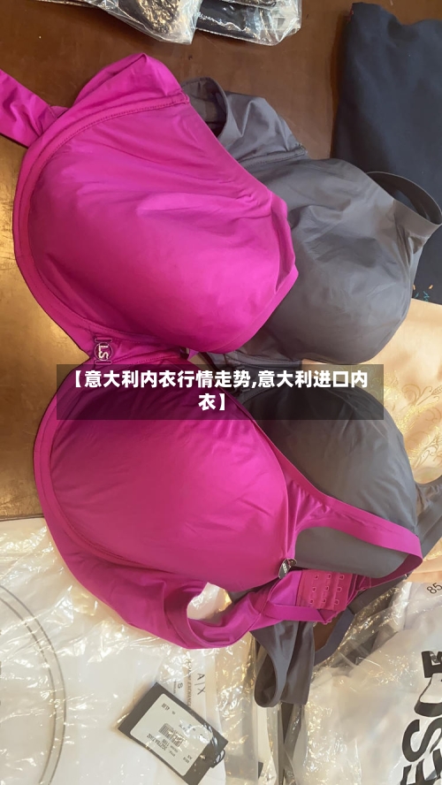 【意大利内衣行情走势,意大利进口内衣】