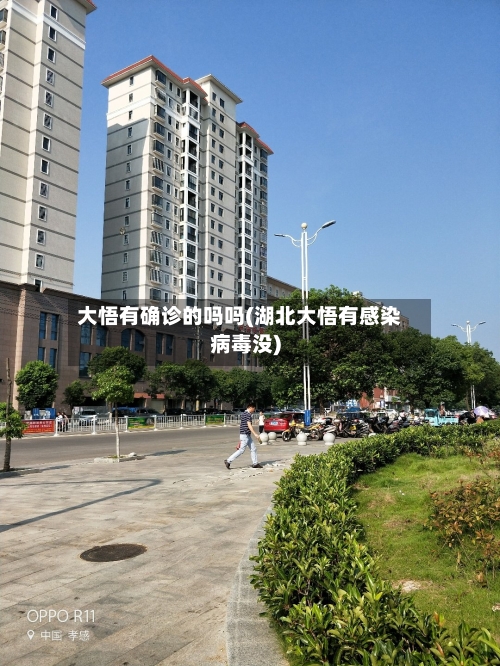 大悟有确诊的吗吗(湖北大悟有感染病毒没)