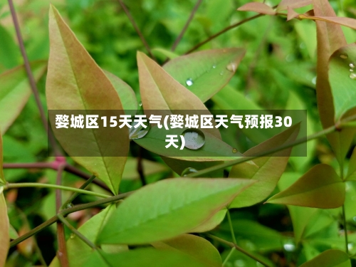 婺城区15天天气(婺城区天气预报30天)