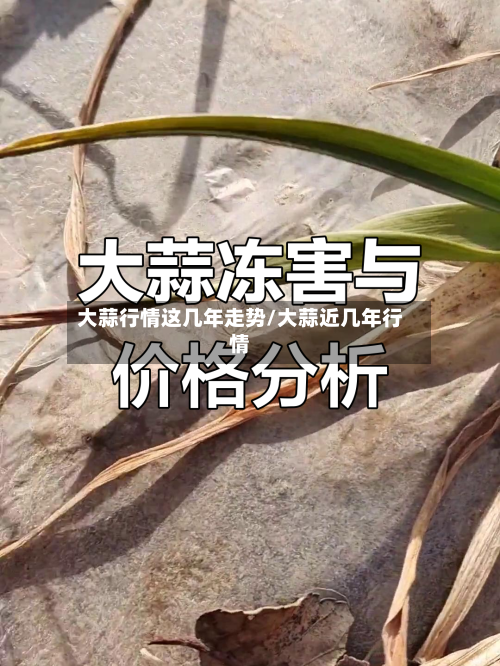 大蒜行情这几年走势/大蒜近几年行情