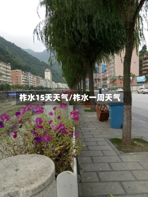 柞水15天天气/柞水一周天气