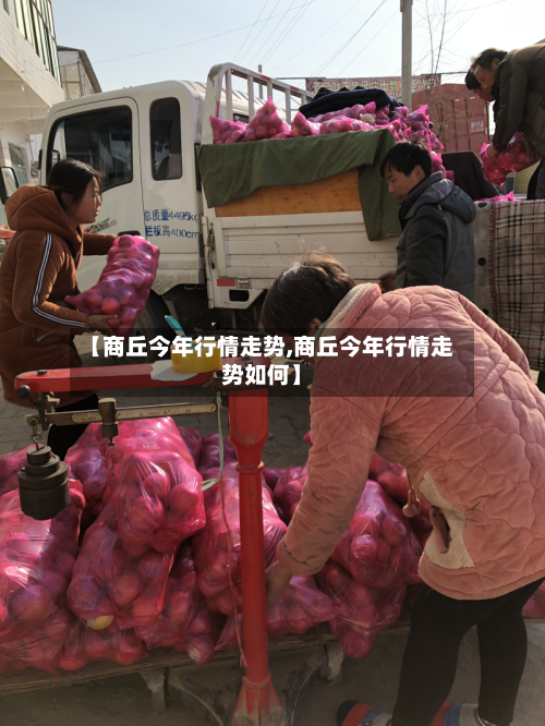 【商丘今年行情走势,商丘今年行情走势如何】