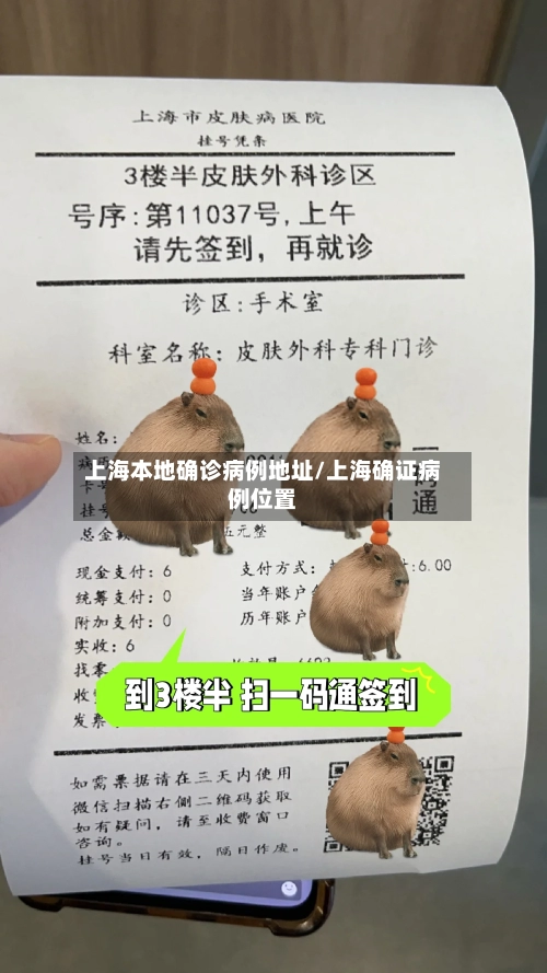 上海本地确诊病例地址/上海确证病例位置