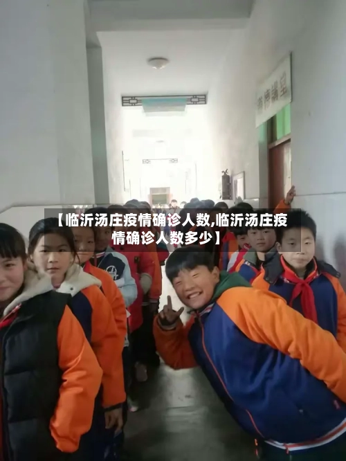 【临沂汤庄疫情确诊人数,临沂汤庄疫情确诊人数多少】