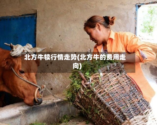 北方牛犊行情走势(北方牛的费用走向)