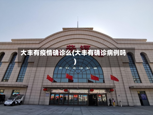 大丰有疫情确诊么(大丰有确诊病例吗)