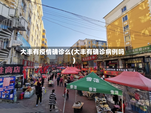 大丰有疫情确诊么(大丰有确诊病例吗)