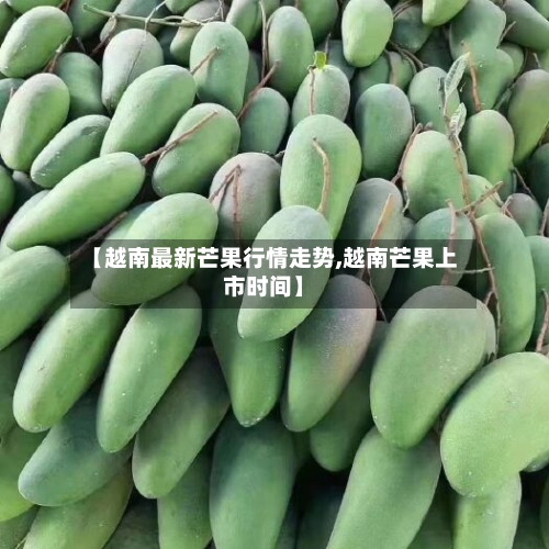 【越南最新芒果行情走势,越南芒果上市时间】