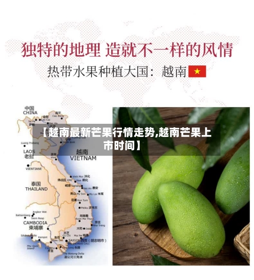 【越南最新芒果行情走势,越南芒果上市时间】