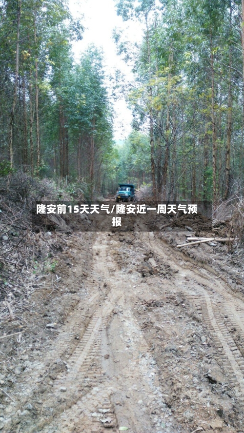 隆安前15天天气/隆安近一周天气预报