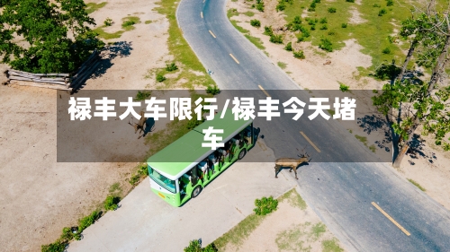 禄丰大车限行/禄丰今天堵车