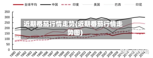 近期番茄行情走势(近期番茄行情走势图)