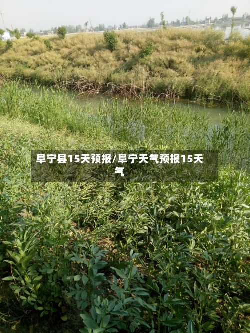 阜宁县15天预报/阜宁天气预报15天气