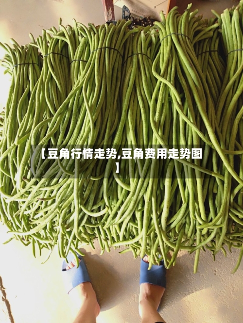 【豆角行情走势,豆角费用走势图】