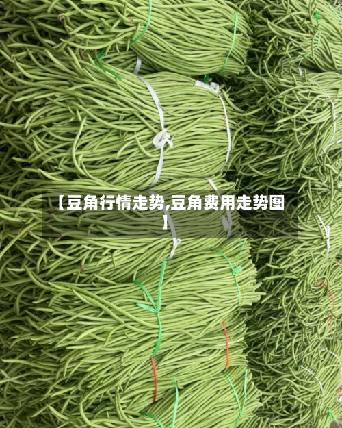 【豆角行情走势,豆角费用走势图】