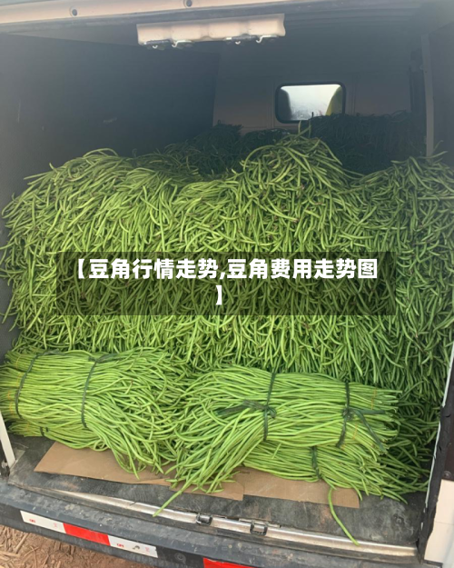 【豆角行情走势,豆角费用走势图】