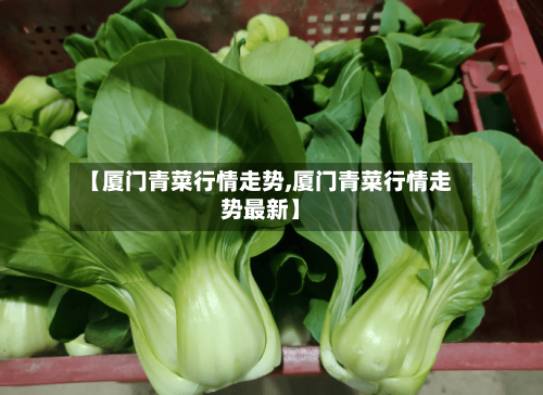 【厦门青菜行情走势,厦门青菜行情走势最新】