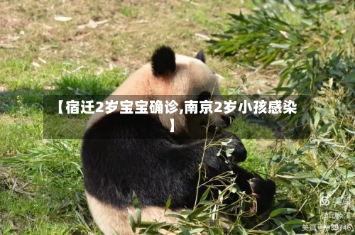 【宿迁2岁宝宝确诊,南京2岁小孩感染】