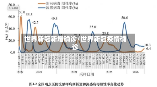 世界新冠新增确诊/世界新冠疫情确诊