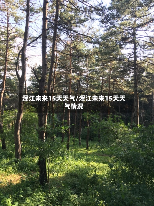 浑江未来15天天气/浑江未来15天天气情况
