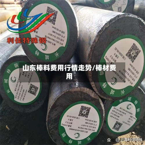 山东棒料费用行情走势/棒材费用
