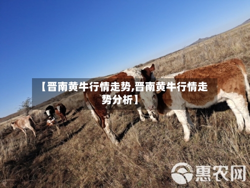 【晋南黄牛行情走势,晋南黄牛行情走势分析】
